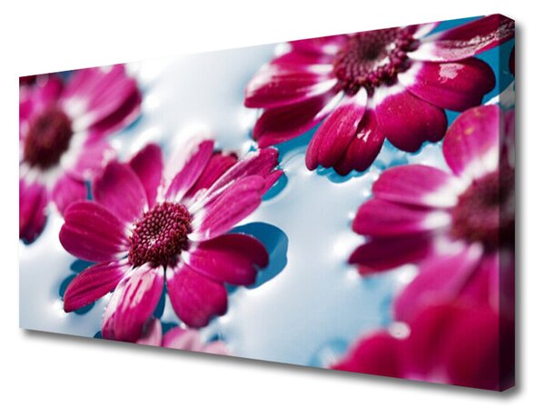 Obraz na plátně Květiny na Vodě Příroda 125x50 cm