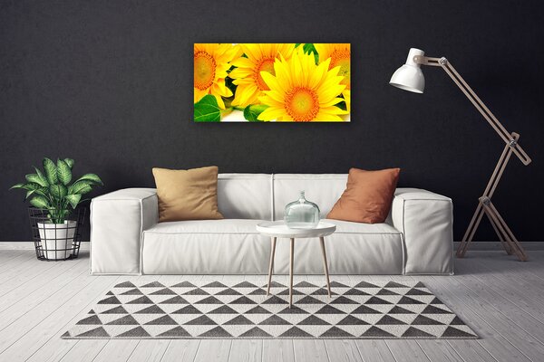Obraz na plátně Slunečnice Květ Příroda 120x60 cm