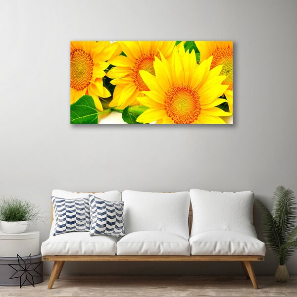 Obraz na plátně Slunečnice Květ Příroda 120x60 cm