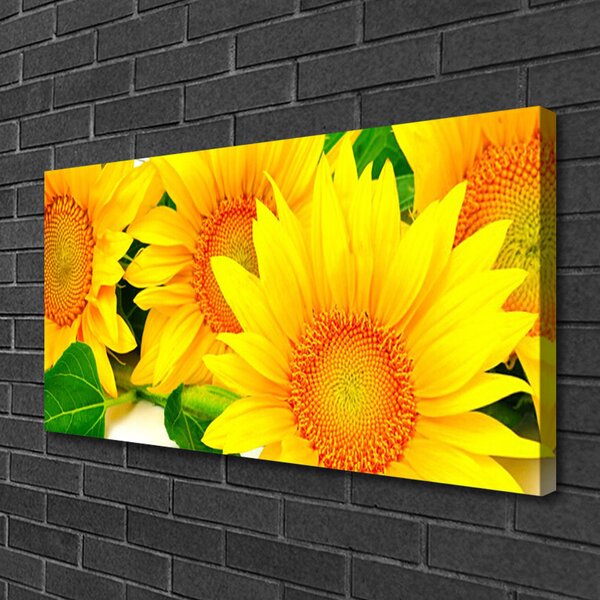 Obraz na plátně Slunečnice Květ Příroda 120x60 cm