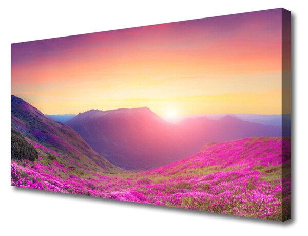 Obraz na plátně Slunce Hory Louka Příroda 100x50 cm