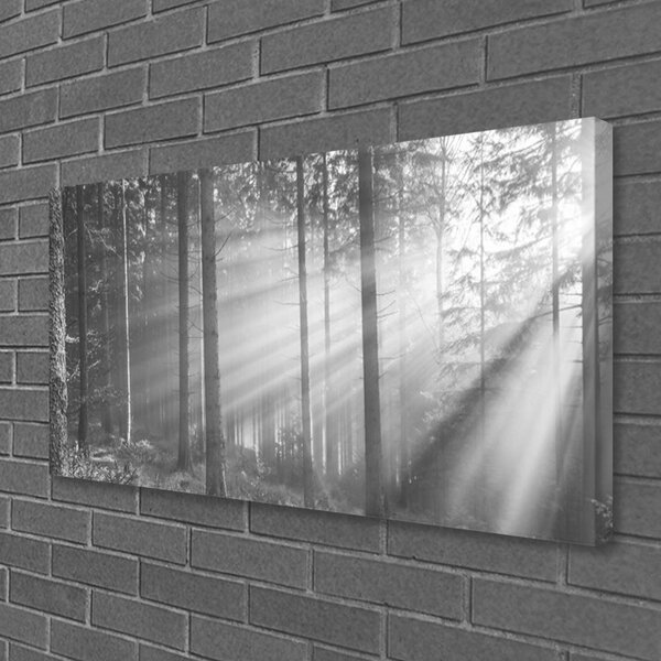 Obraz na plátně Les Příroda Paprsky Slunce 125x50 cm
