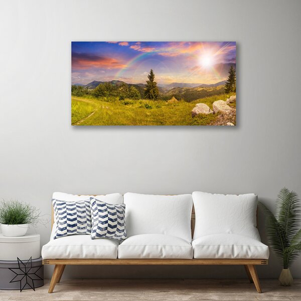Obraz na plátně Hory Louka Kameny Příroda 100x50 cm