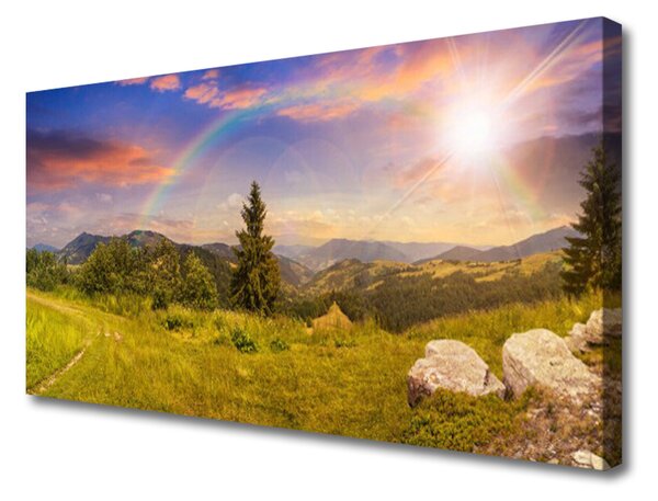Obraz na plátně Hory Louka Kameny Příroda 100x50 cm