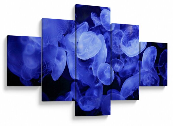 Obraz - Medúzy (125x70 cm)