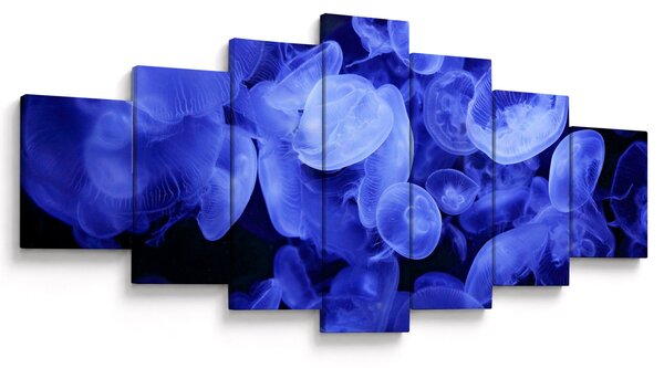 Obraz - Medúzy (210x100 cm)