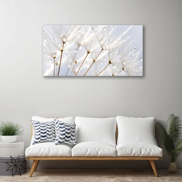 Obraz na plátně Pampeliška Rostlina 100x50 cm