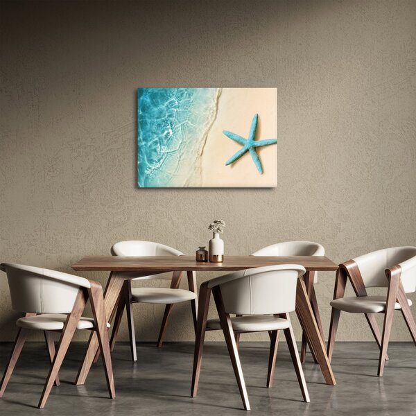 Obraz - Hvězdice na pláži (70x50 cm)