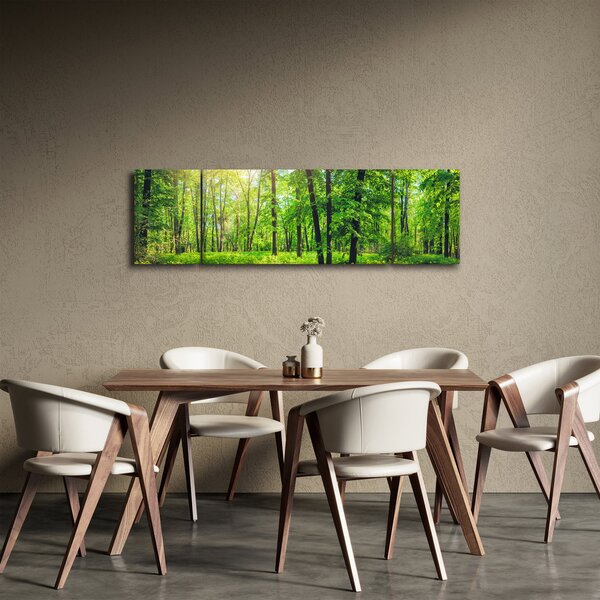 Obraz - Jarní listnatý les (170x50 cm)