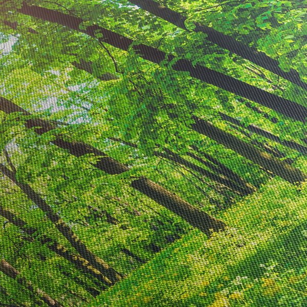 Obraz - Jarní listnatý les (170x50 cm)