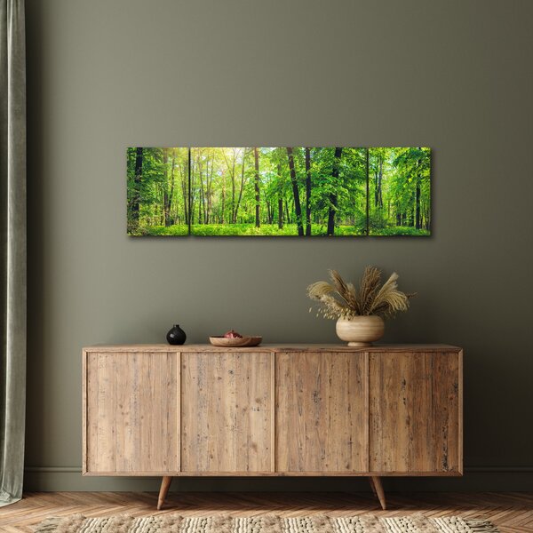 Obraz - Jarní listnatý les (170x50 cm)
