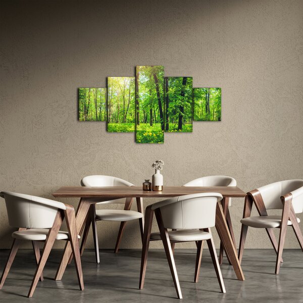 Obraz - Jarní listnatý les (125x70 cm)