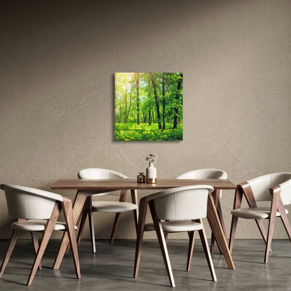 Obraz - Jarní listnatý les (30x30 cm)