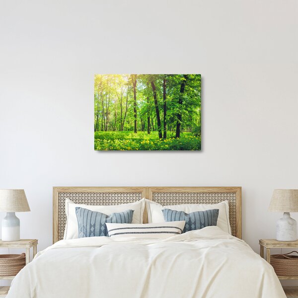 Obraz - Jarní listnatý les (70x50 cm)