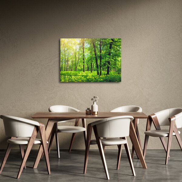 Obraz - Jarní listnatý les (70x50 cm)