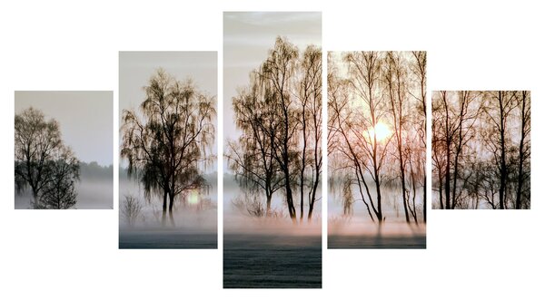 Obraz - Ranní sychravost (125x70 cm)