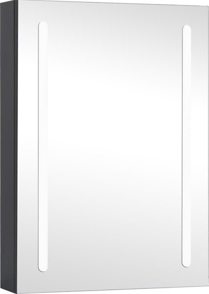 LED koupelnová skříňka se zrcadlem 50 x 13 x 70 cm