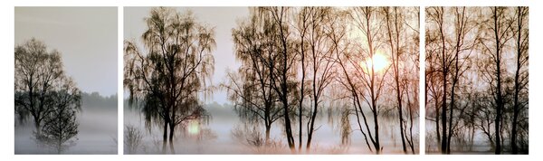 Obraz - Ranní sychravost (170x50 cm)