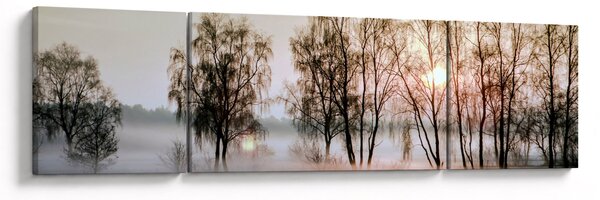 Obraz - Ranní sychravost (170x50 cm)