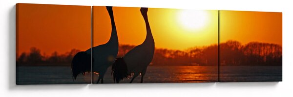 Obraz ptáků při západu slunce (170x50 cm)