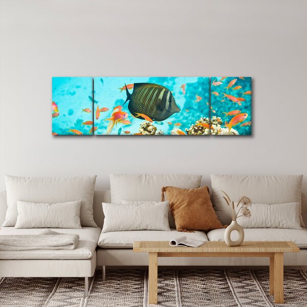 Obraz podmořského světa (170x50 cm)