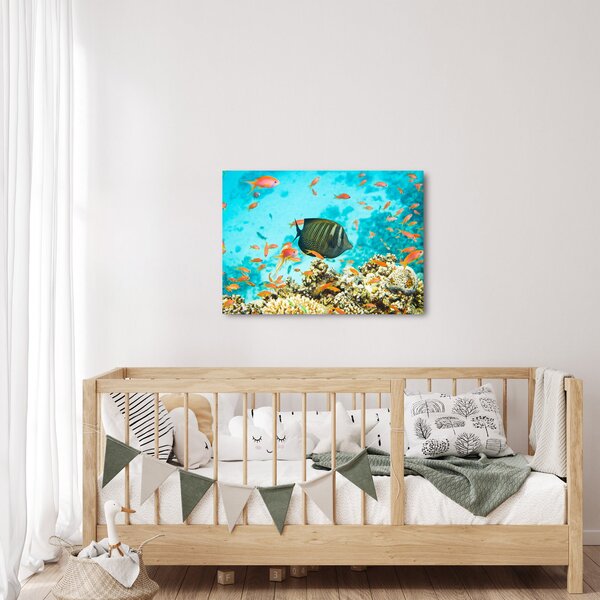 Obraz podmořského světa (70x50 cm)