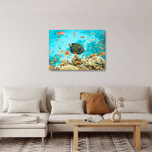 Obraz podmořského světa (70x50 cm)