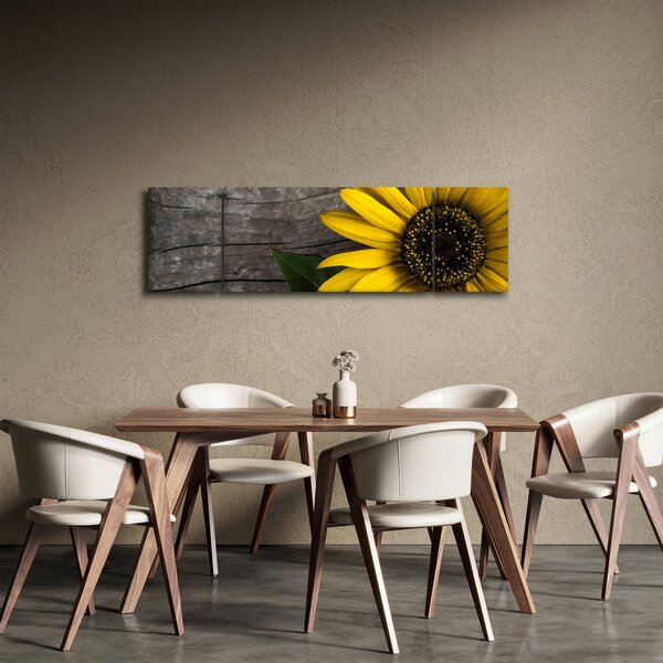 Obraz - Květ slunečnice (170x50 cm)