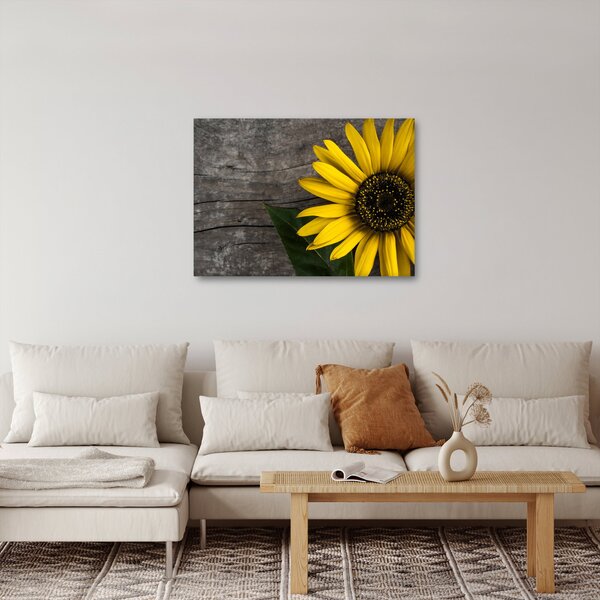 Obraz - Květ slunečnice (70x50 cm)