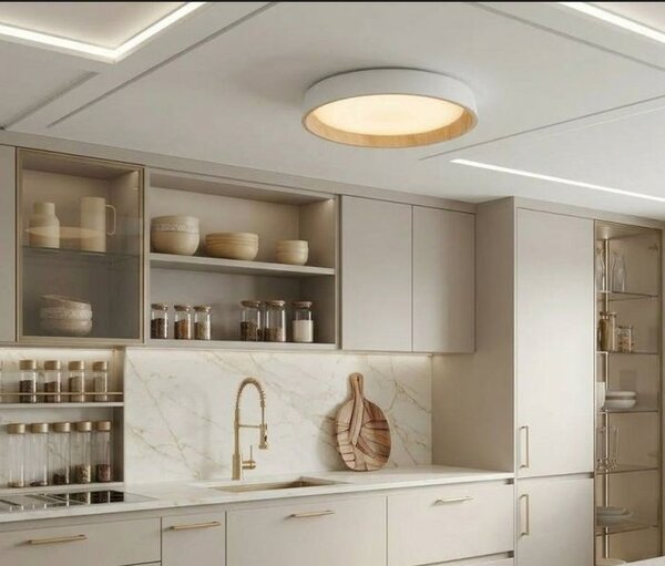 Stropní LED svítidlo L245188 s dálk. ovl
