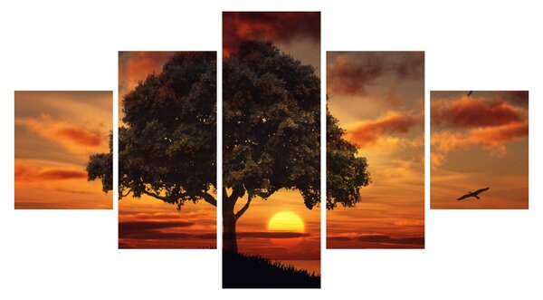 Obraz stromu se západem slunce (125x70 cm)