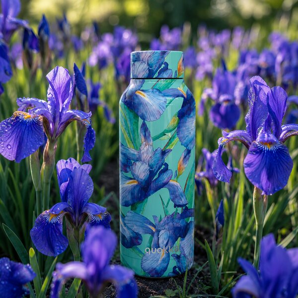 Nerezová termoláhev Solid, 510ml, Quokka, blue Irisies
