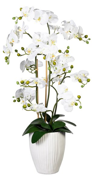 Orchidej bílá, aranžmá ve váze, 110cm