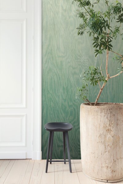 Vliesová fototapeta na zeď, Moiré, DG4MOI1021-260, Wall Designs IV, Khroma by Masureel