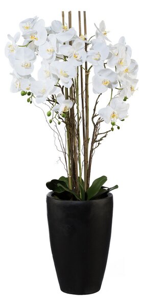 Umělá Orchidej bílá v černém květináči, 120cm