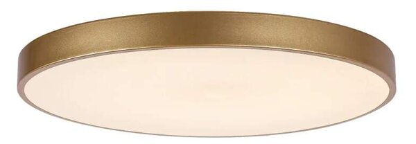 Rabalux 71038 TESIA - LED stropní svítidlo ve zlaté barvě s dálkovým ovladačem, Ø 60cm, 60W, 3000 - 6000K (Přisazené velké stropní kulaté svítidlo stmívatelné dálkovým ovládáním)