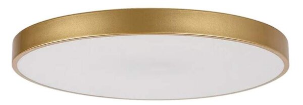 Rabalux 71038 TESIA - LED stropní svítidlo ve zlaté barvě s dálkovým ovladačem, Ø 60cm, 60W, 3000 - 6000K (Přisazené velké stropní kulaté svítidlo stmívatelné dálkovým ovládáním)