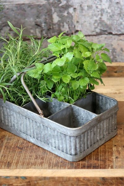 Plechový antik box s rukojetí a 8 přihrádkami Old French - 41*20*10 cm - Chic Antique