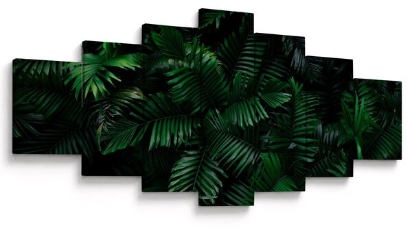 Obraz - Tropické kapradí (210x100 cm)
