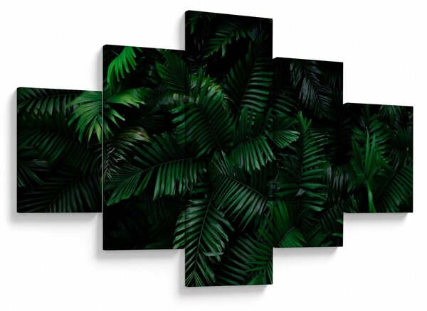 Obraz - Tropické kapradí (125x70 cm)