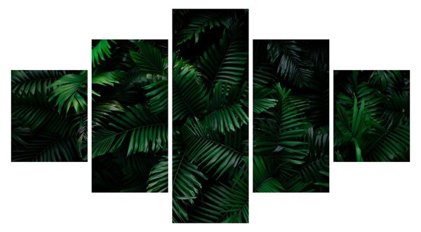 Obraz - Tropické kapradí (125x70 cm)