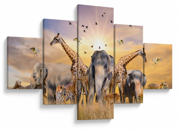 Obraz - Africká zvířata (125x70 cm)