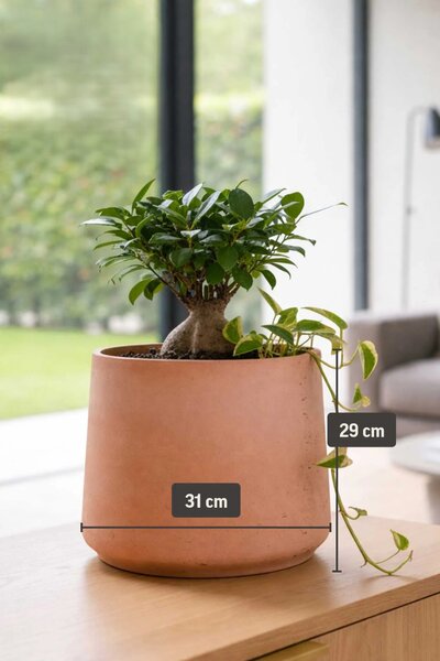 Květináč TROPICO, sklolaminát, výška 29 cm, oranžová