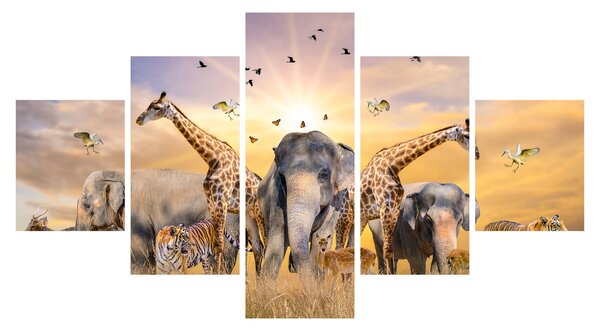 Obraz - Africká zvířata (125x70 cm)