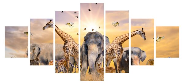 Obraz - Africká zvířata (210x100 cm)