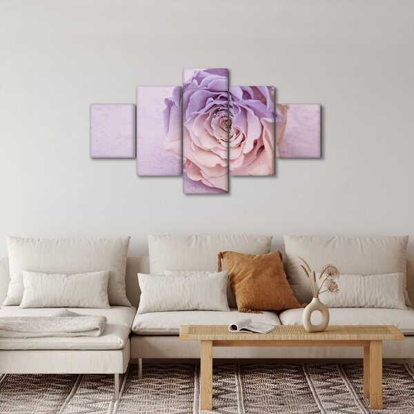 Obraz detailu květu růže (125x70 cm)