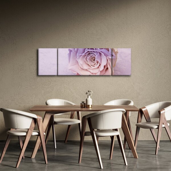 Obraz detailu květu růže (170x50 cm)