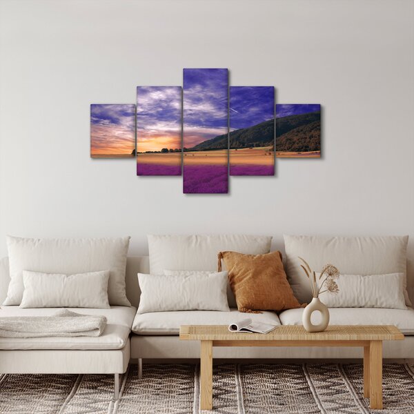Obraz levandulové louky (125x70 cm)