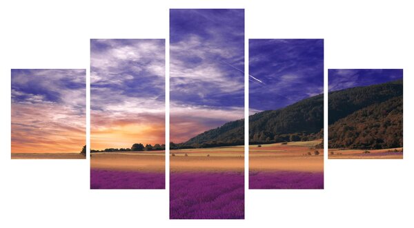 Obraz levandulové louky (125x70 cm)