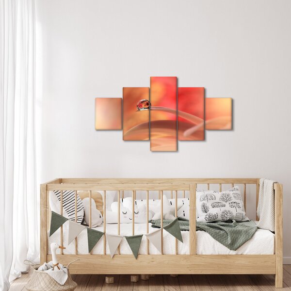 Obraz květinové kapky rosy (125x70 cm)